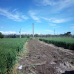 Cantiere "Ascoli 3"